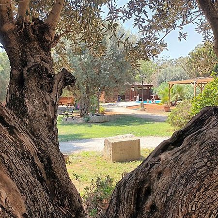 Entre Viejos Olivos Villa Benicolet ภายนอก รูปภาพ