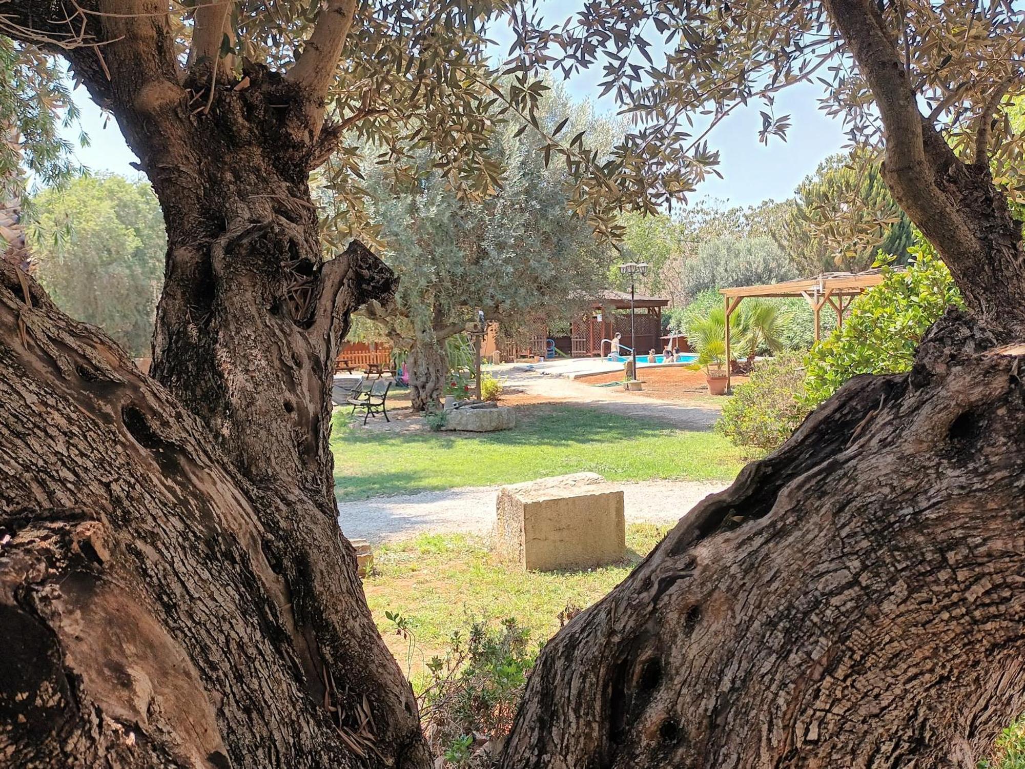 Entre Viejos Olivos Villa Benicolet ภายนอก รูปภาพ