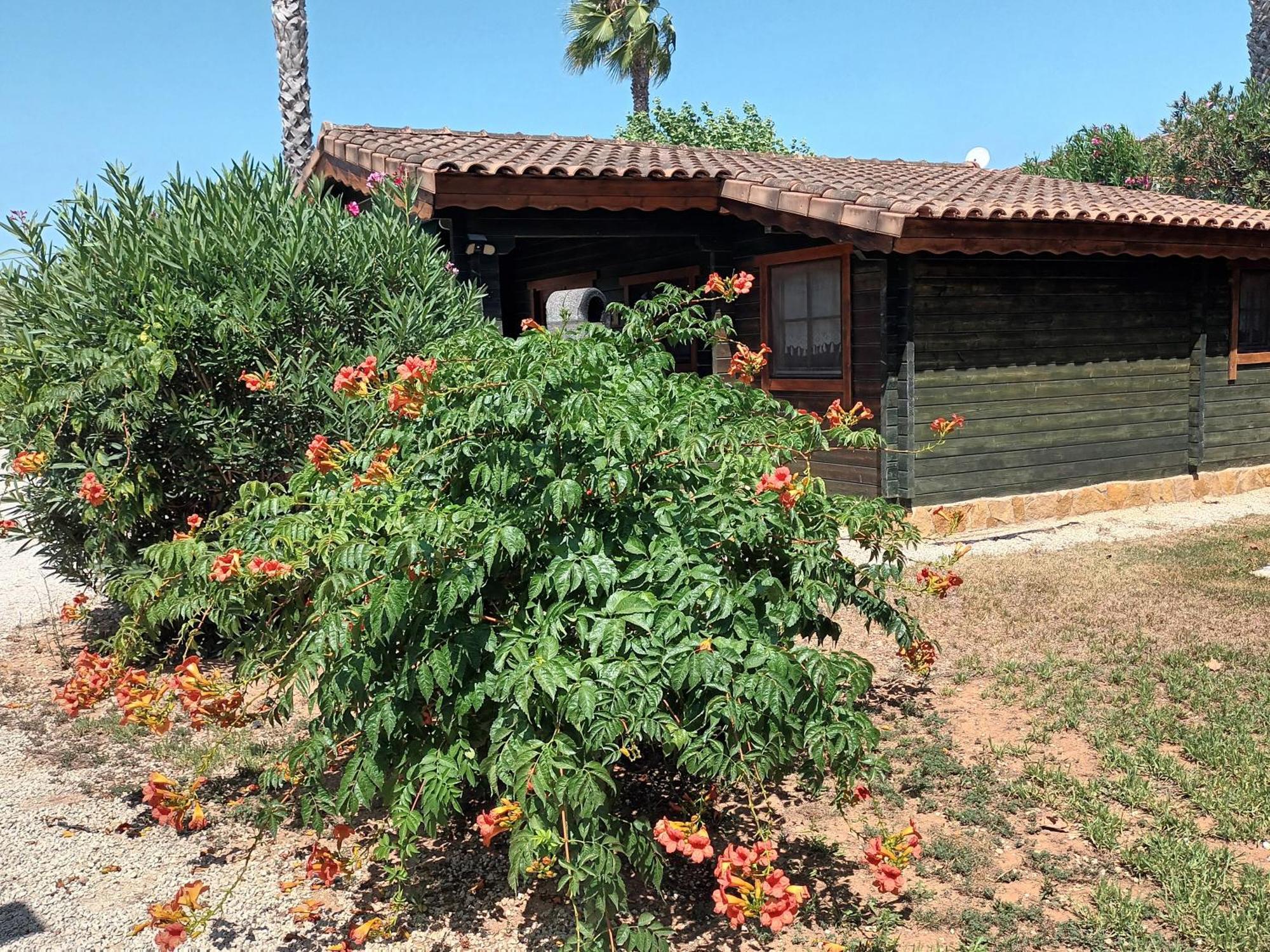 Entre Viejos Olivos Villa Benicolet ภายนอก รูปภาพ