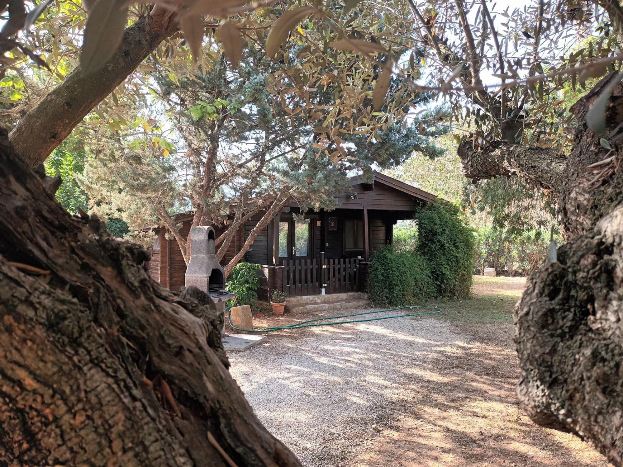 Entre Viejos Olivos Villa Benicolet ภายนอก รูปภาพ