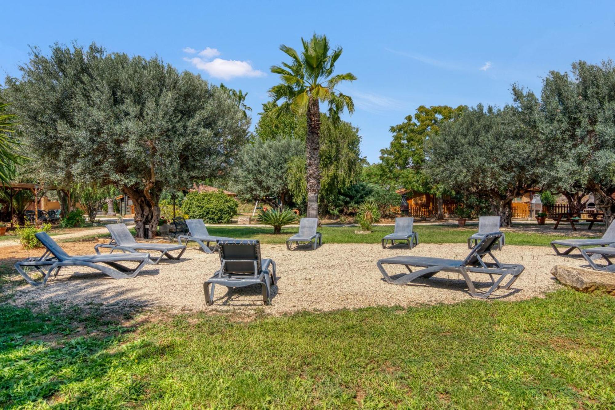Entre Viejos Olivos Villa Benicolet ภายนอก รูปภาพ